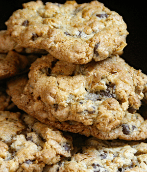 Oat Biscuit - Snacks that Start with O