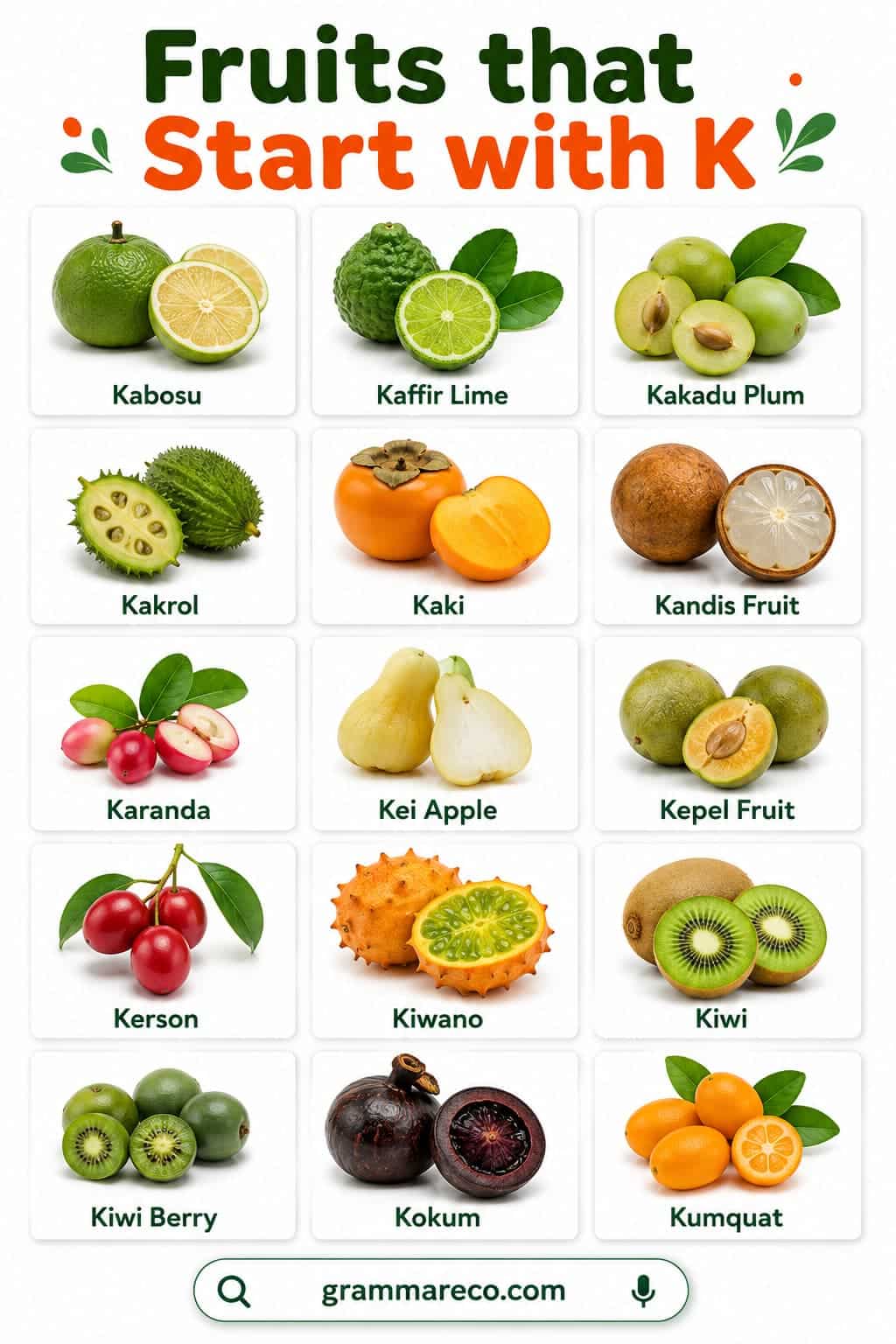 Popular Fruits Beginning with K with Pictures and Facts
