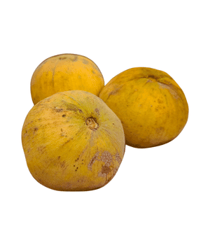Santol - Brown Fruits and Pictures