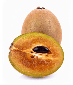 Sapodilla - Brown Fruit with Brown Flesh