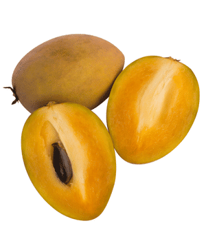 Sapodilla - Brown Fruits and Pictures