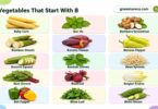 Vegetables That Start With B - Names, Types, and Pictures
