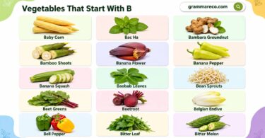 Vegetables That Start With B - Names, Types, and Pictures