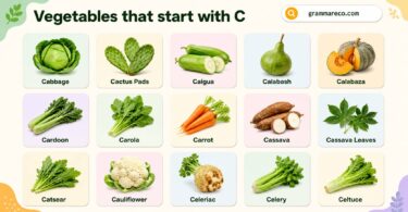 Vegetables That Start With C with pictures