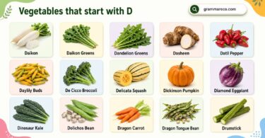 Vegetables That Start With D Complete List With Pictures