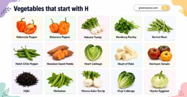 Vegetables That Start With H - Complete List With Pictures