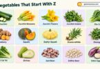 17 Vegetables That Start With Z: List, Names and Facts With Pictures