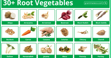 30+ Root Vegetables Names in English with Pictures and PDF