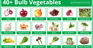 40+ Types of Bulb Vegetables with Pictures and Names