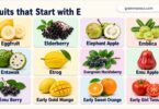 Fruits Begins with E: 50+ Fruits that Start with E with Pictures