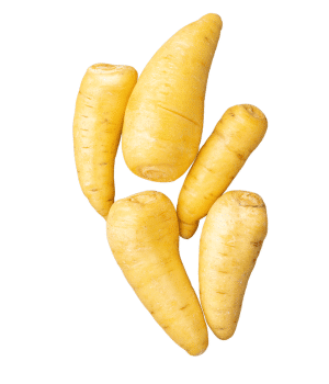 Arracacha - Names of Root Vegetables
