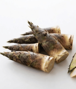 Bamboo Shoots - Stem Vegetables