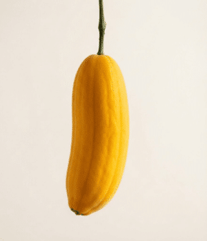 Banana Passion Fruit - Fruits that Start with B