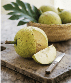 Breadfruit - Fruit that Start with B