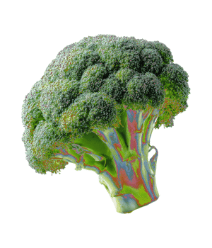 Broccoli Stems