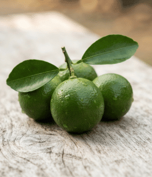 Calamansi - Fruit that Start with C