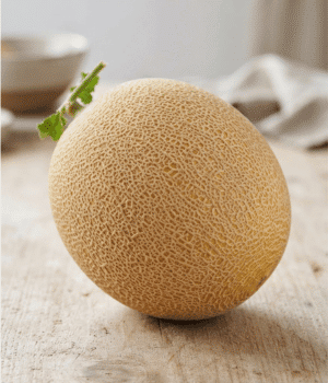 Cantaloupe - Fruits that Start with C