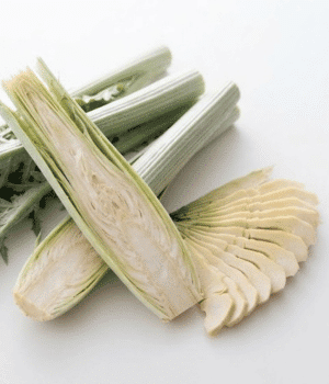 Cardoon Vegetable - Stem Vegetables