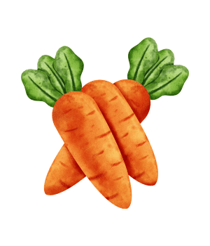 Carrot - Root Vegetables and Pictures