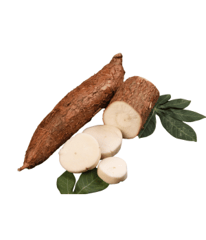 Cassava - Root Vegetables and Pictures