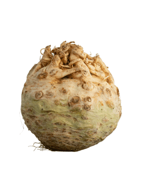 Celeriac - Root Vegetables and Pictures