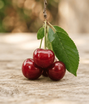 Cherry - Fruits that Start with C