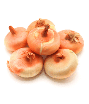 Cipollini Onion - Bulb Vegetable
