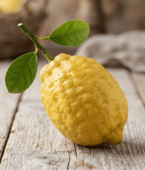 Citron - Fruit that Start with C