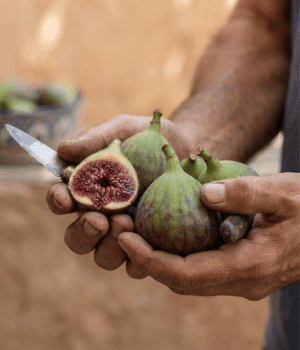 Desert Fig - Fruit that Start with D