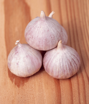 Elephant Garlic - List of Bulb Veggies