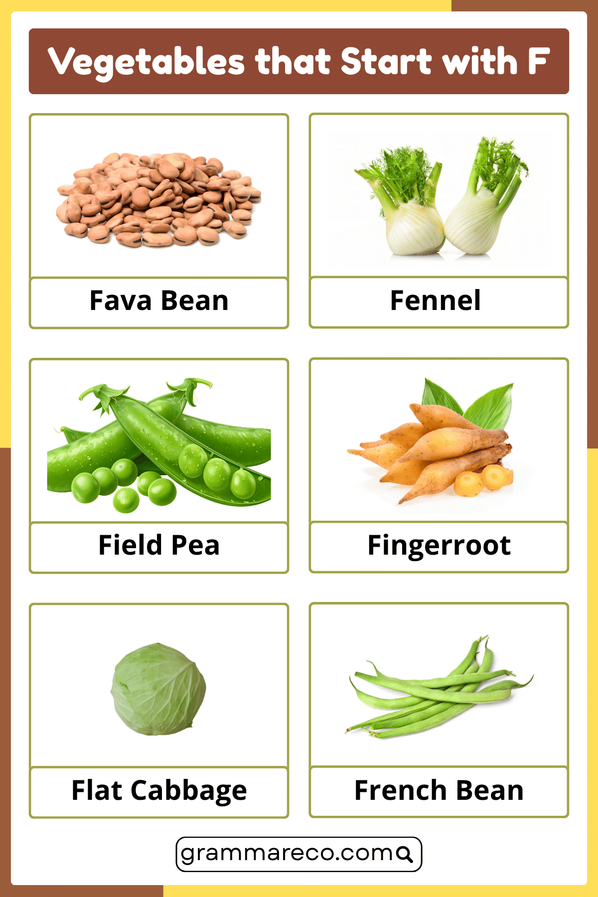 F Vegetable Names and Pictures
