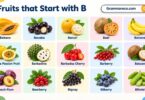 70+ Fruits that Start with The Letter B with Pictures and Names