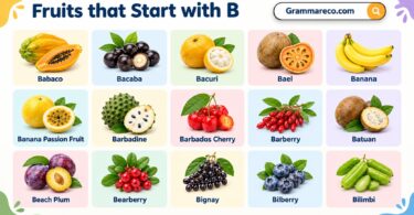 70+ Fruits that Start with The Letter B with Pictures and Names