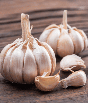 Garlic - Bulb Vegetables and their Pictures