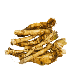 Horseradish - Vegetable that Grow Underground