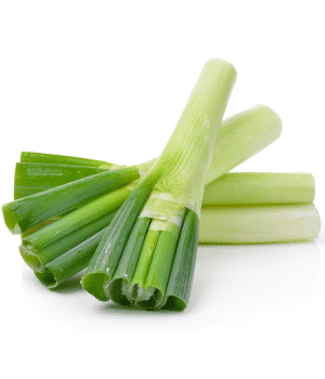 Japanese Bunching Onion