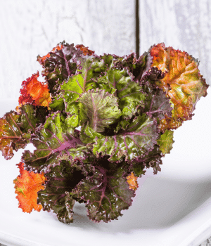 Kalette - Vegetables that start with K