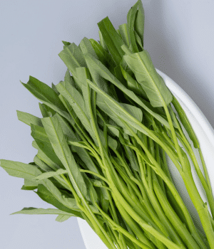 Kangkong - Vegetables that start with K