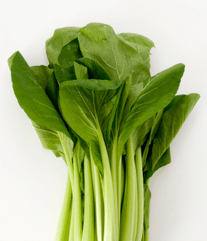 Komatsuna - Vegetable Names that Begin with K