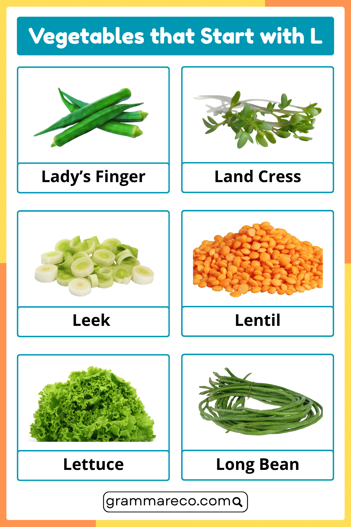 A to Z Vegetables - L Vegetables