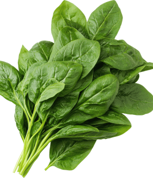 Lagos Spinach - Vegetables that Start with K