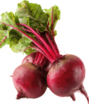 Leaf Beet - Vegetables that Start with K