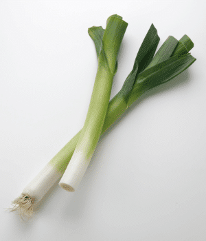 Leek - Bulb Vegetables