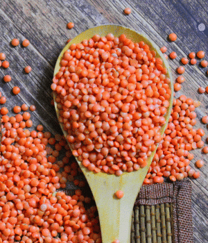 Lentil - Vegetable Names that Begin with K