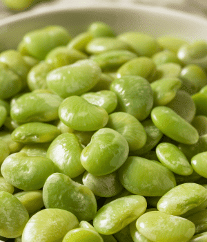 Lima Bean - Vegetable Names that Begin with K