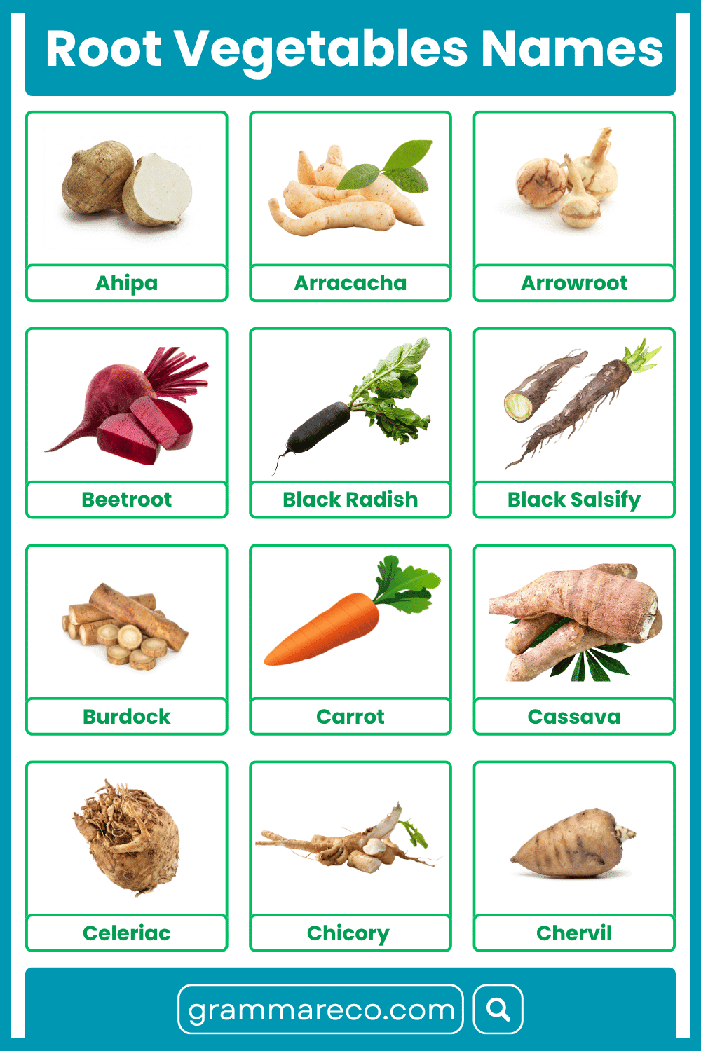 List of 26 Root Vegetables From A to Z