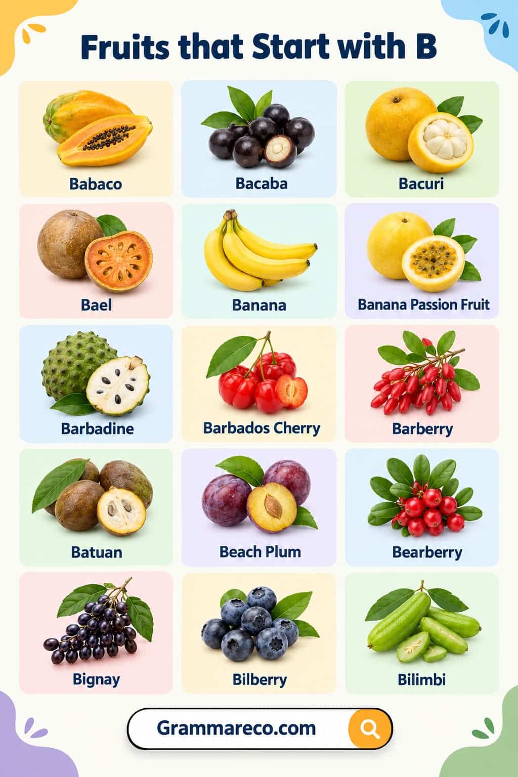Fruits That Start With B with Pictures