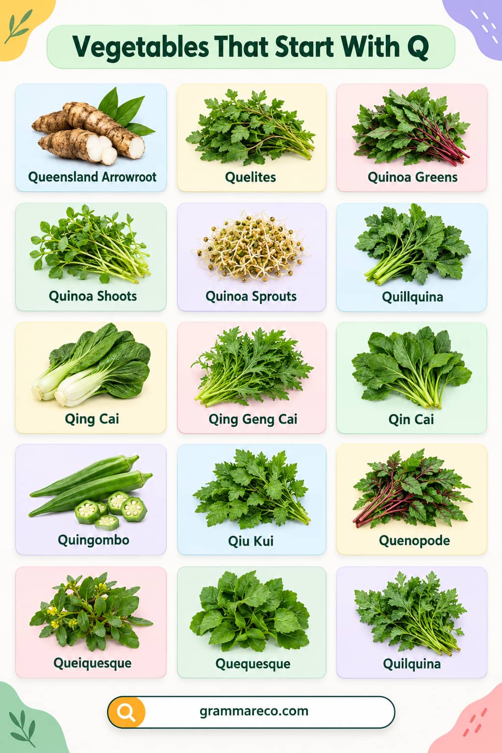 Vegetables that Start with Q with Pictures and Explanation