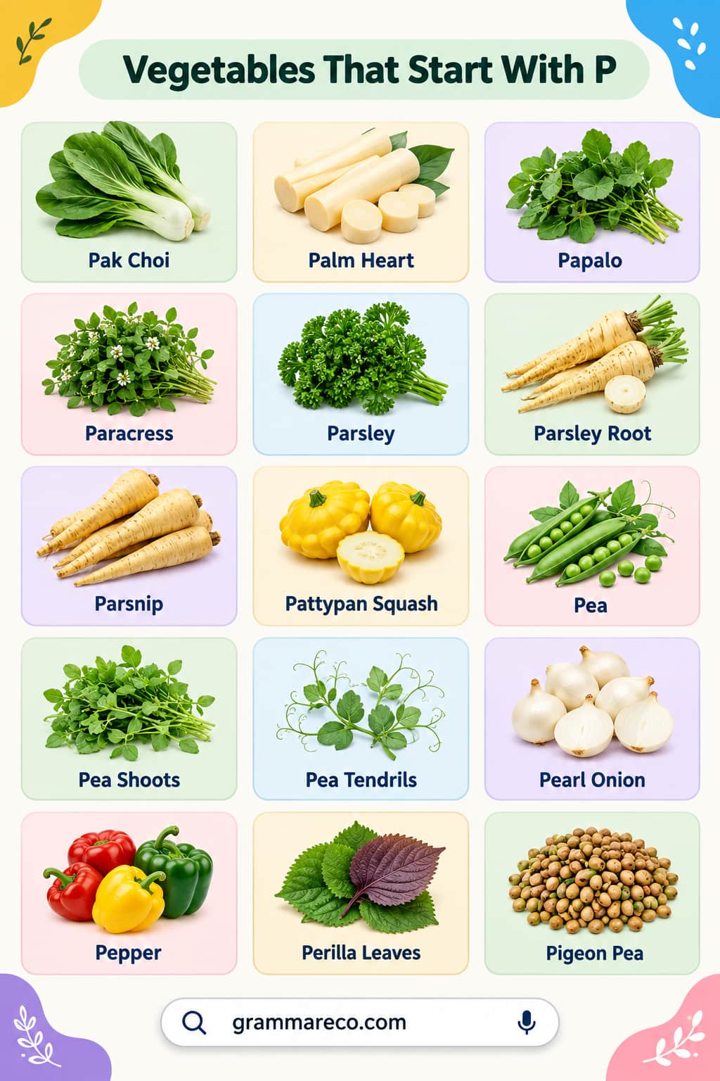 Vegetables that Start with P with Pictures and Properties