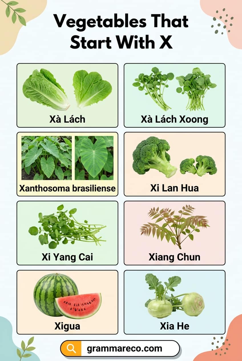 List of Vegetables Starting With X